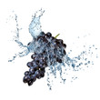 blue grape with water splash isolated on white