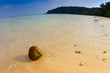 Coconut on the beach at waters edge in serene tropical bay