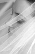 Photo: Bride in veil close up Bride in veil close up