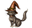 Halloween-gattinogrigio1