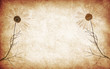 Image : abstract grunge floral background