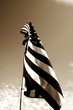 the flag