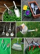 Foto: gardening gardening