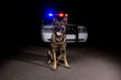 Nightwatch