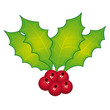 Holly berries
