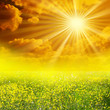 Prairie soleil mains coeur Prairie soleil mains coeur