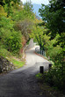 rural road rural road