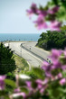 an image of a road curve in spring an image of a road curve in spring