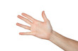 Counting man hand (1 to 5) isolated on white background
