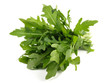 Rucola