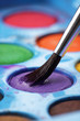 Artist watercolour palette with brush