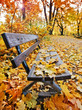 herbstlich