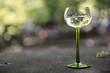 Verre de vin balnc alsacien Verre de vin balnc alsacien