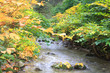 Beautiful Autumn Beautiful Autumn