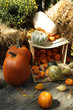 fall pumpkins