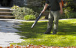 Landscaper operating Leaf Blower