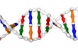 DNA helix (white background)