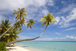 Tropical white sand beach and blue lagoon