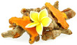 tubercules de curcuma longa, tubercules de curcuma longa,
