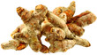 tubercules de curcuma longa, tubercules de curcuma longa,