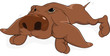 Impudent dog