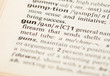 gun word