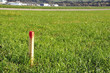 Vermessung Grenze Holzpflock Vermessung Grenze Holzpflock