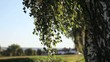 Windland 01