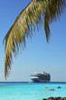 Foto: Palm Tree Branch and Cruise ship Palm Tree Branch and Cruise ship