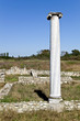 Temple of Dionysus ruins found at Dion in Greece