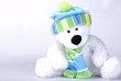 Teddy bear on a white background Teddy bear on a white background