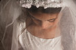Photo: Girl in Holy Communion Dress with a veil Girl in Holy Communion Dress with a veil