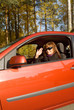 The girl in the red car in an autumn sunny day