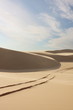 Sand dunes with tyre tracks