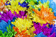 Foto: Colorful Daisy Flower Background Colorful Daisy Flower Background