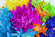 Foto: Colorful Daisy Flower Background Colorful Daisy Flower Background