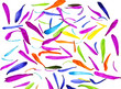 Foto: Abstract Colorful Background of the Petals of Daisy Flowers Abstract Colorful Background of the Petals of Daisy Flowers