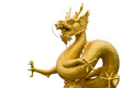 The great sea dragon of Indian ocean The great sea dragon of Indian ocean