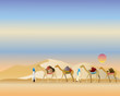 camel train