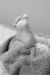 body parts