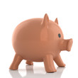 Money piggy bank isolated on white background Money piggy bank isolated on white background