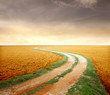 Quadro Countryside