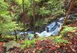 Mountain river waterfall in wild Carpathian forest