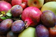frutta