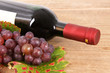 Red wine with grapes
