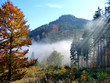 Herbst