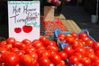 fresh tomatoes