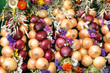 bunte Zwiebelzöpfe auf den Zwiebelmarkt in Weimar
