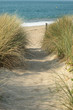 paysage plage 49
