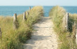 paysage plage 48